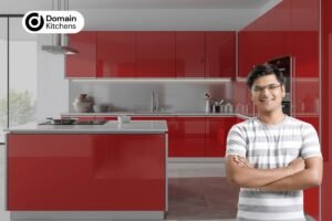 Read more about the article Top 10+ Stainless Steel Modular Kitchen Companies in Shahdara (Delhi)